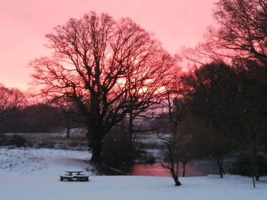 Charming Picturesque Cottage - Nr Tenterden & Rye, Pets Welcomed Rolvenden Экстерьер фото